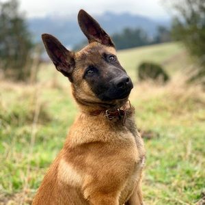 Meet your Posher, Liz